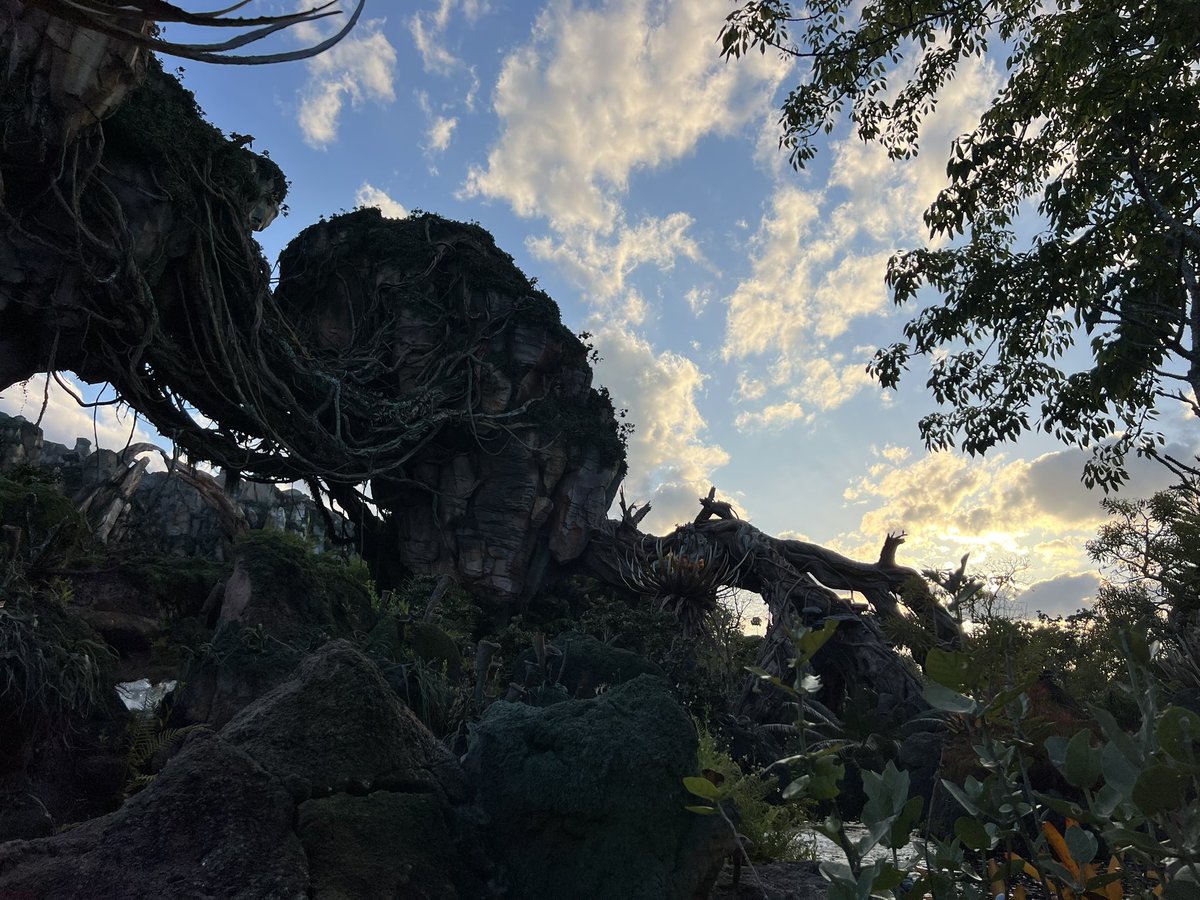 DiscMan2000's tweet image. Super cool thing happened tonight after riding Flight of Passage where the real sunset was almost identical to the sunset on the attraction 😳

Happy Earth Day and Happy Birthday, Animal Kingdom 🎉