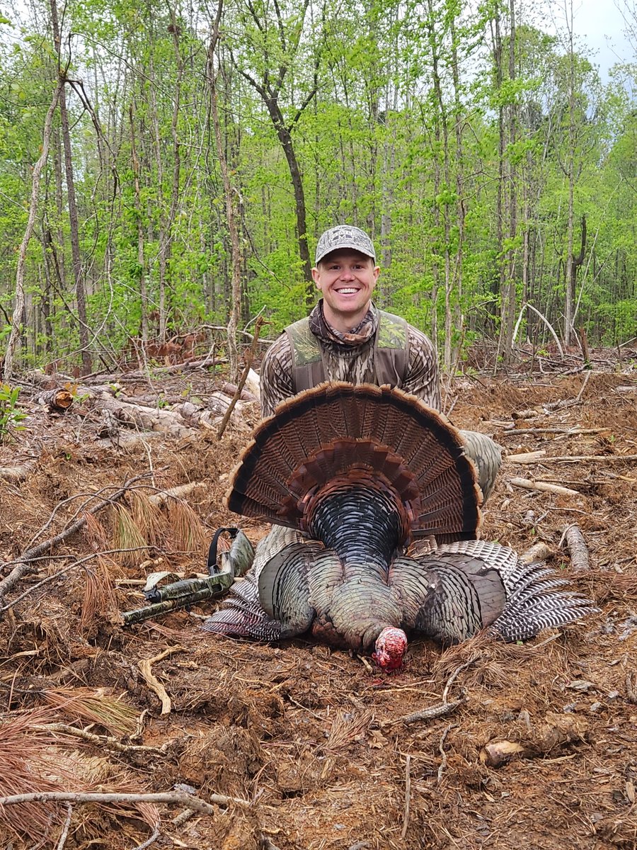 James Sanderson tweet media