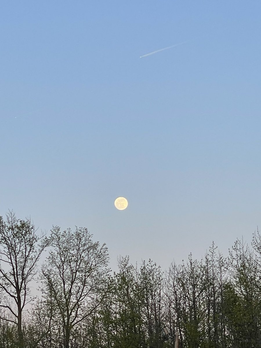 Great night to observe the almost full #pinkmoon 🌕🌸 ➡️ connecticut.news12.com/weather @News12CT #ctweather #moon #frost #ctsky #nightsky 📸 #n12stormwatchers