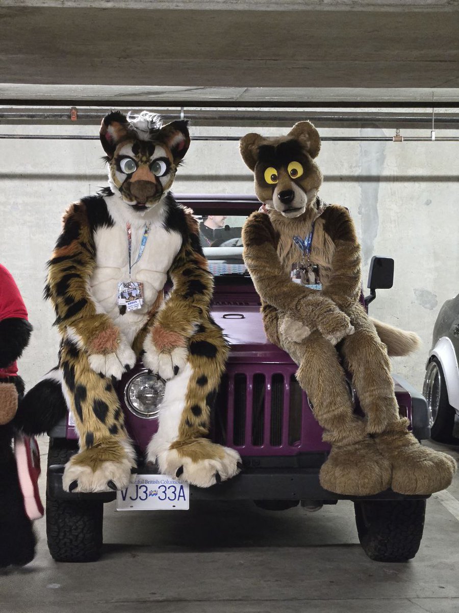 🚗🐶Show me your fursuit and what you drive 🚗🐶