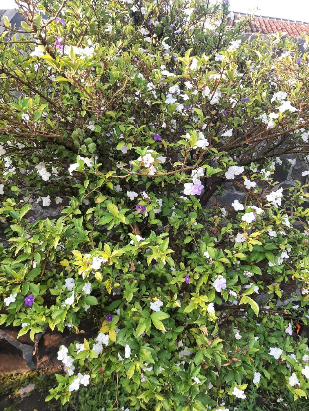 Chivil047's tweet image. Tiap liat matahari terbit kayak terus dingetin buat percaya bahwa janji, penyertaan, &amp;amp; berkatNya Tuhan selalu nyata dan baru tiap hari. Seberat apapun hari kemarin, selalu ada hari baru untuk mulai lagi, semangat lagi, lebih baik dari hari kemarin 🧡
#ReasonsToLive

📍Ketindan