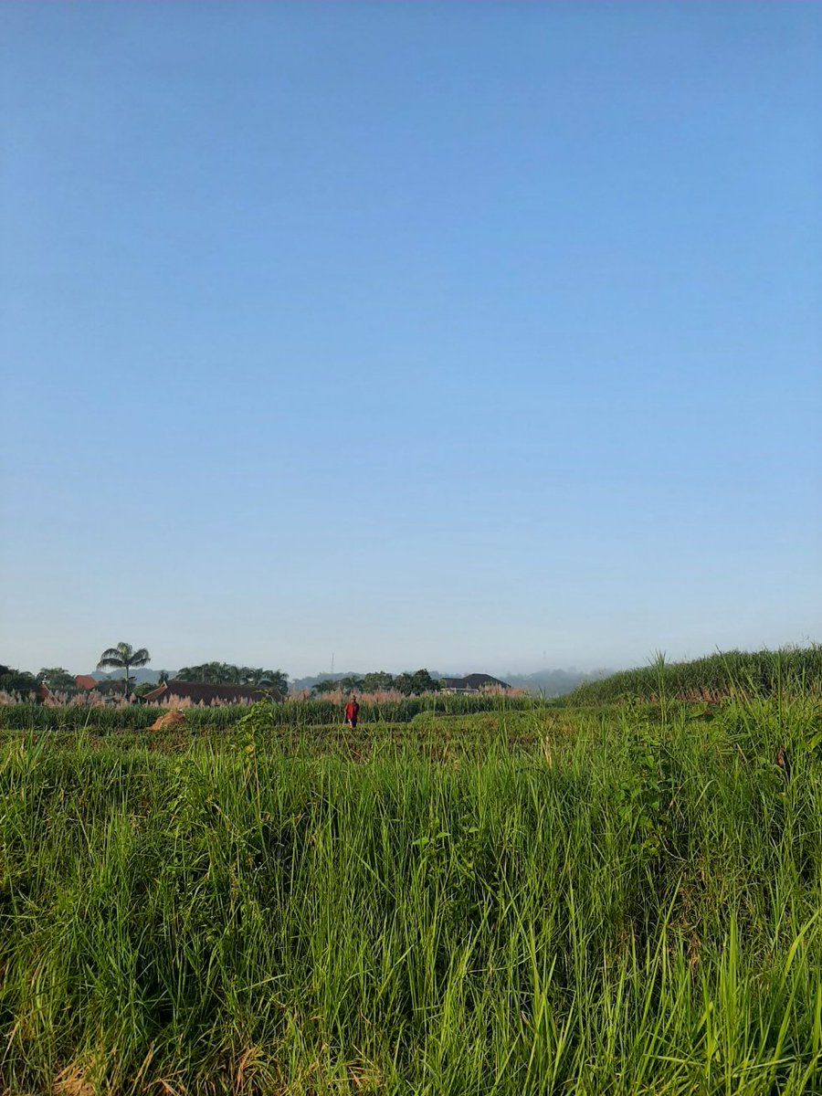 Chivil047's tweet image. Tiap liat matahari terbit kayak terus dingetin buat percaya bahwa janji, penyertaan, &amp;amp; berkatNya Tuhan selalu nyata dan baru tiap hari. Seberat apapun hari kemarin, selalu ada hari baru untuk mulai lagi, semangat lagi, lebih baik dari hari kemarin 🧡
#ReasonsToLive

📍Ketindan