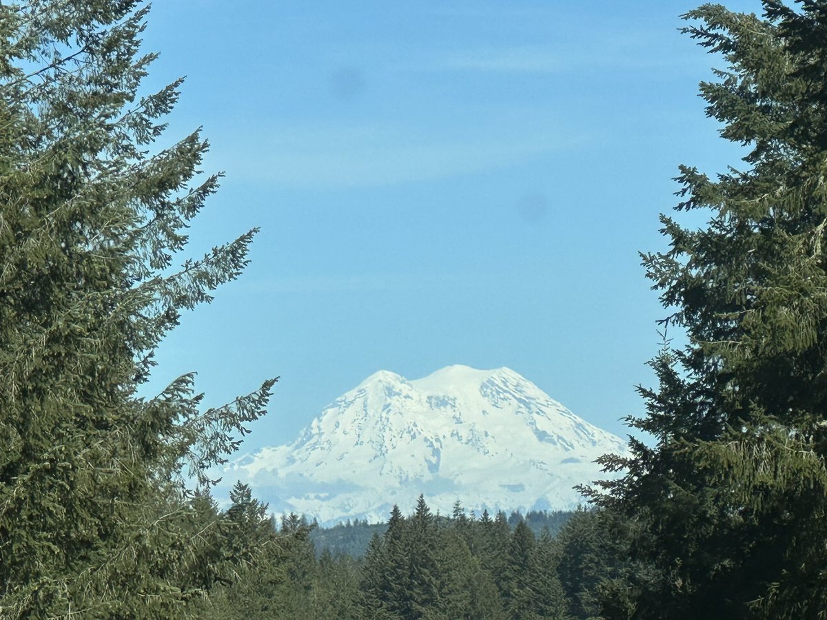 Karen Rose tweet media