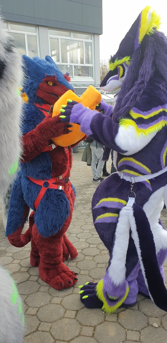 Cheese 🧀 is an important topic among Sergals
#MerpMonday

🔵🔴@ShockzY_ 
🪡 + 🎞️ @whitewingsuits

#Sergal #Cheese #Fursuit #Furry #Furryfandom #Fursuiting #FursuitEveryday #NFC2024