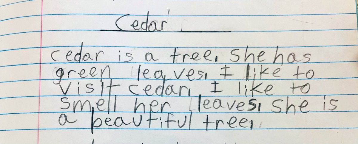 Ms.Persaud’s Falcons tweet media