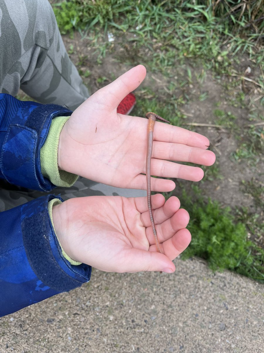 Ms.Persaud’s Falcons tweet media