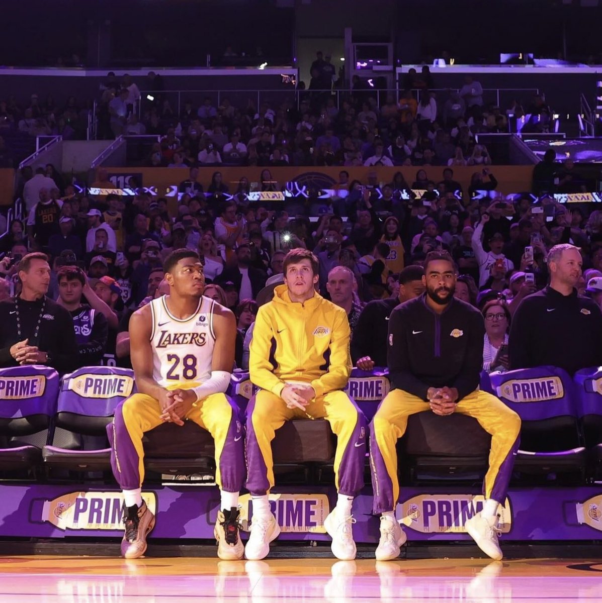 DUNK NIGHTS tweet media