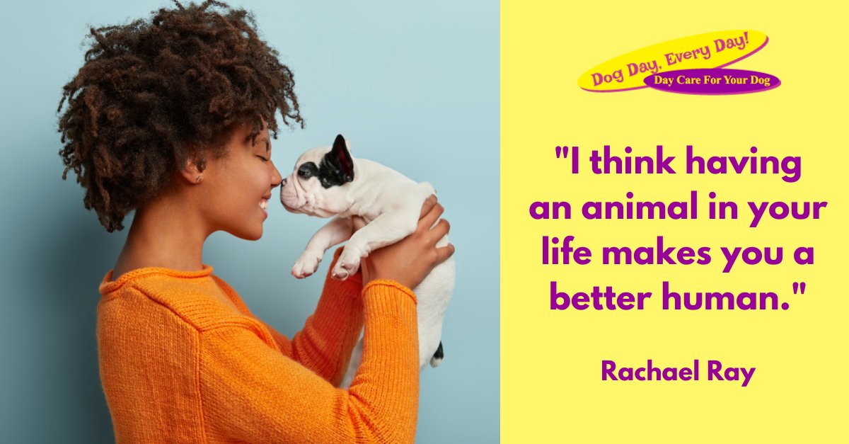 We agree with Rachael Ray! How about you? #dogparents #welovedogs #doglove