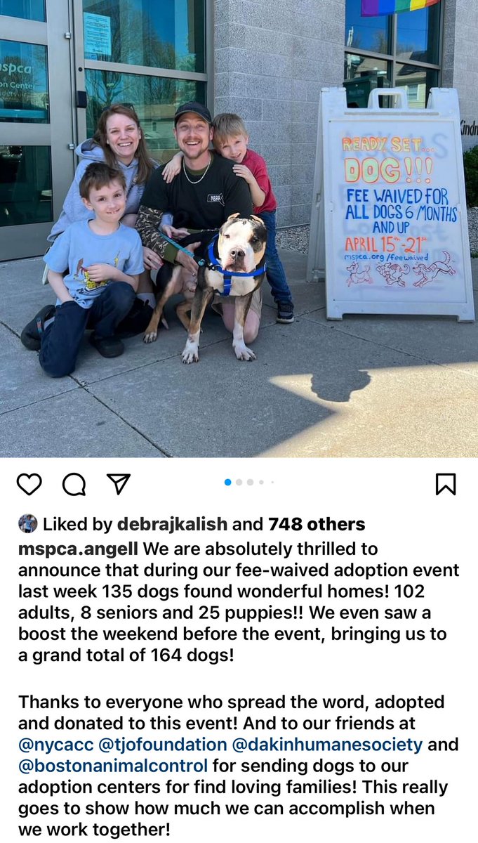 Hopefully all the @NYCACC dogs sent to MSPCA.Angell found homes ♥️♥️♥️❤️‍🩹❤️‍🩹♥️♥️♥️