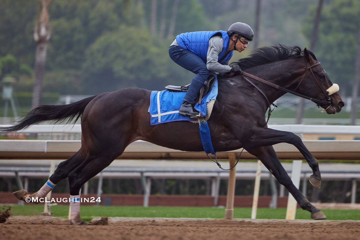 Nice half in 47.40 for McVay this morning with Hall of Famer Mike Smith in the irons for trainer John Shirreffs @santaanitapark @StablesCrk @mikeesmith10 @JohnShirreffs