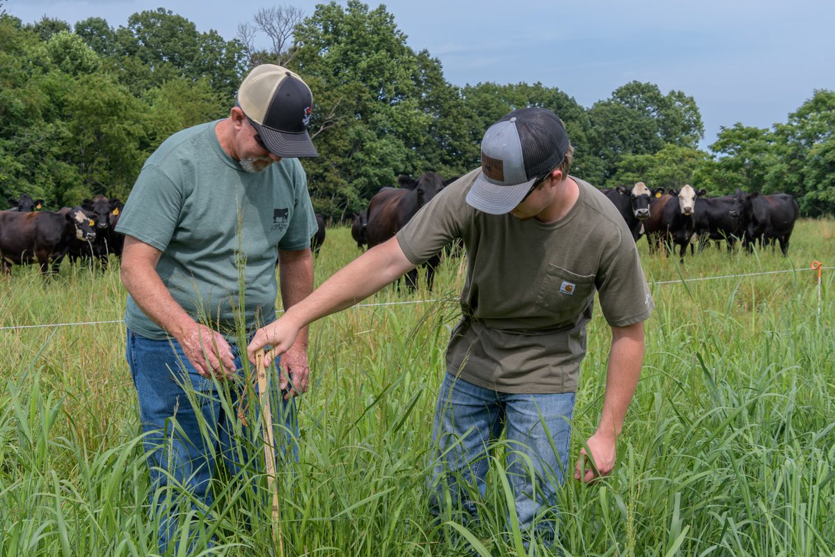 Celebrate #EarthDay with Tuck Farms! By fencing cattle out of ponds and streams, they have prevented erosion and repaired banks with vegetative cover, resulting in improved soil health, water quality and wildlife habitat. biwfd.com/49aEr6m #BeefFarmersAndRanchers