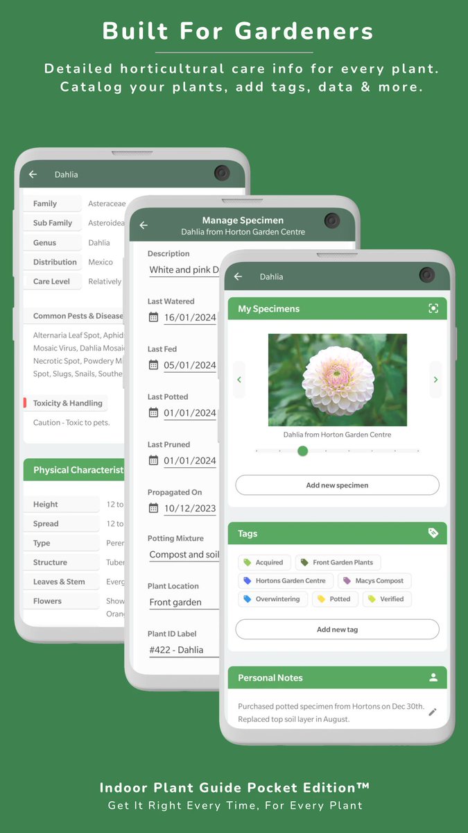 Indoor Plant Guide Pocket Edition™ app for Android  🌼 
 play.google.com/store/apps/det… 
#indoorplants #houseplants #houseplant #plants #gardeners #gardening [661]