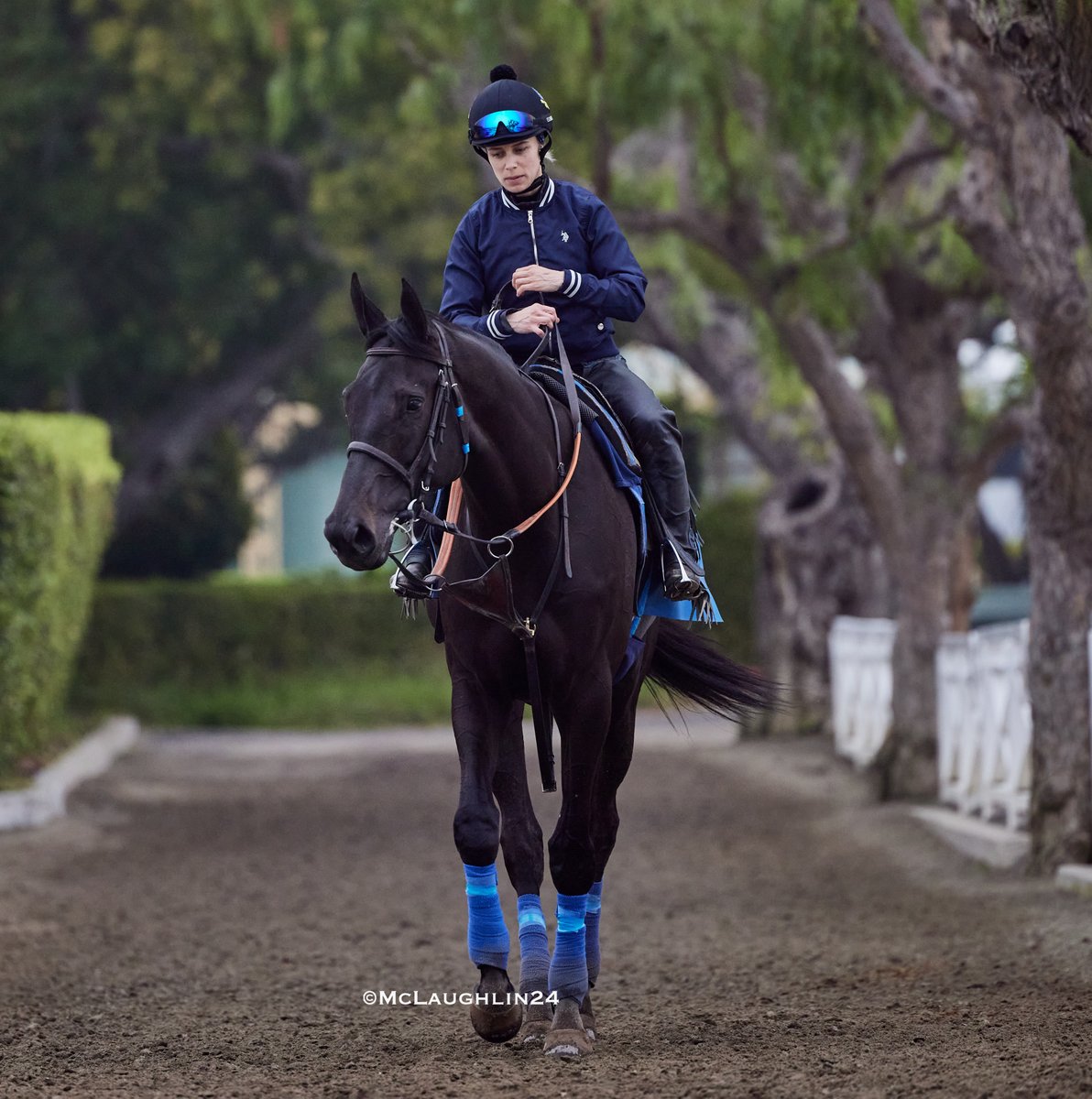 Adare Manor this morning with Morgane Kervarrec up for HoF trainer Bob Baffert @santaanitapark @BobBaffert @Morgane_mmk