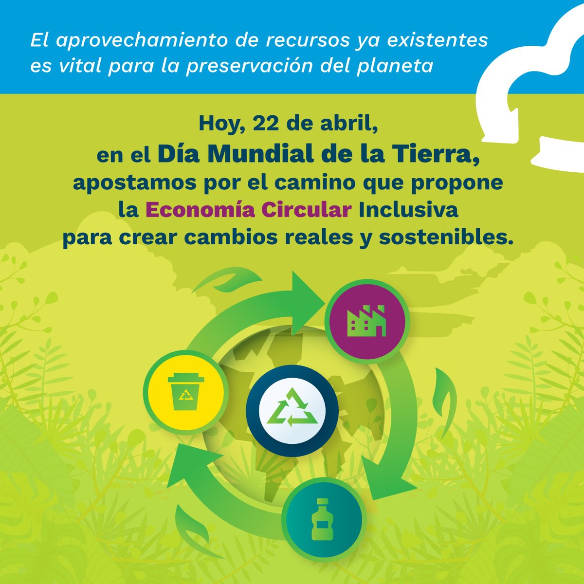 reciveci tweet media