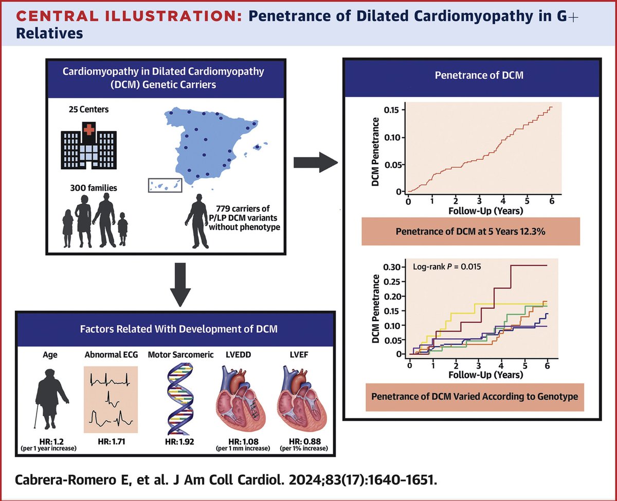 Approximately 11% of G+ relatives developed DCM during a median follow-up of 3 years. Older age, an abnormal ECG, lower LVEF, increased LVEDD, motor sarcomeric genetic variants and LGE are associated with a higher risk of developing DCM. @JACCJournals