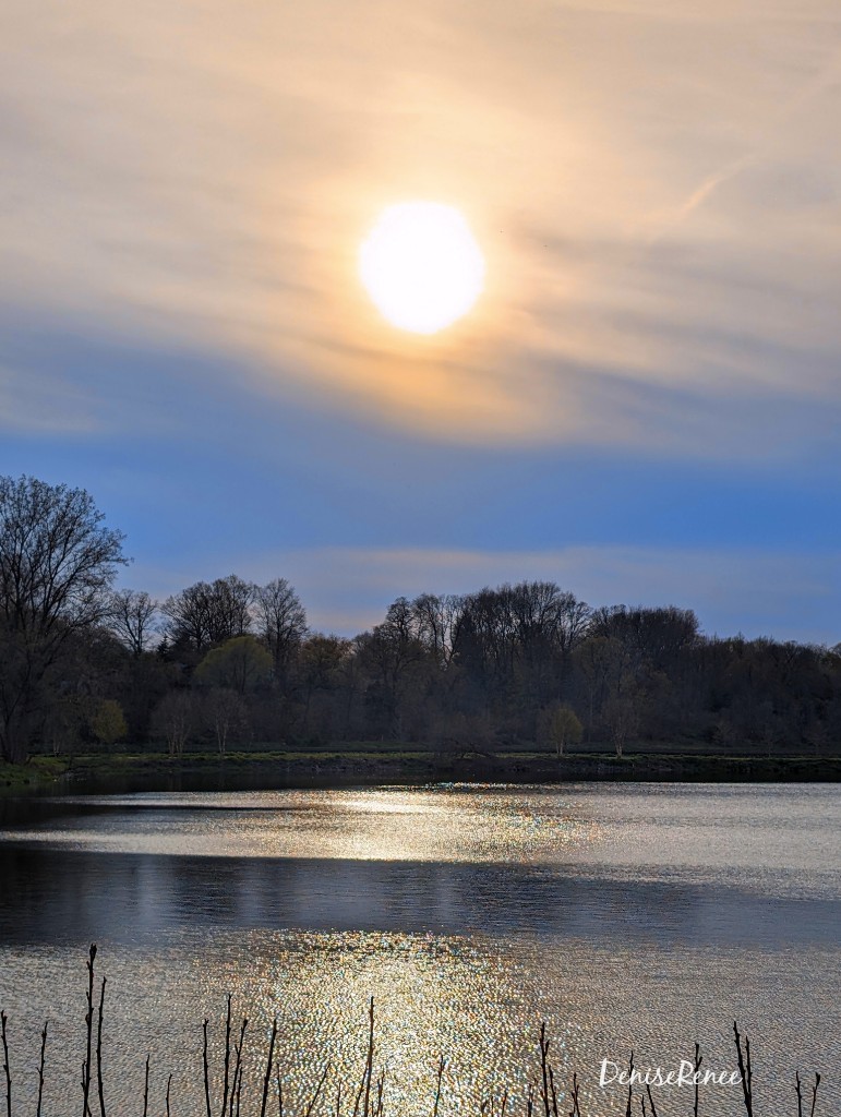 Pretty view around the lake as the sun starts to go down! 💙☀️💙