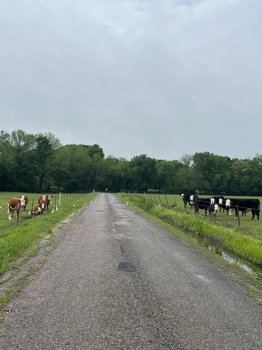 Marty Dicken tweet media