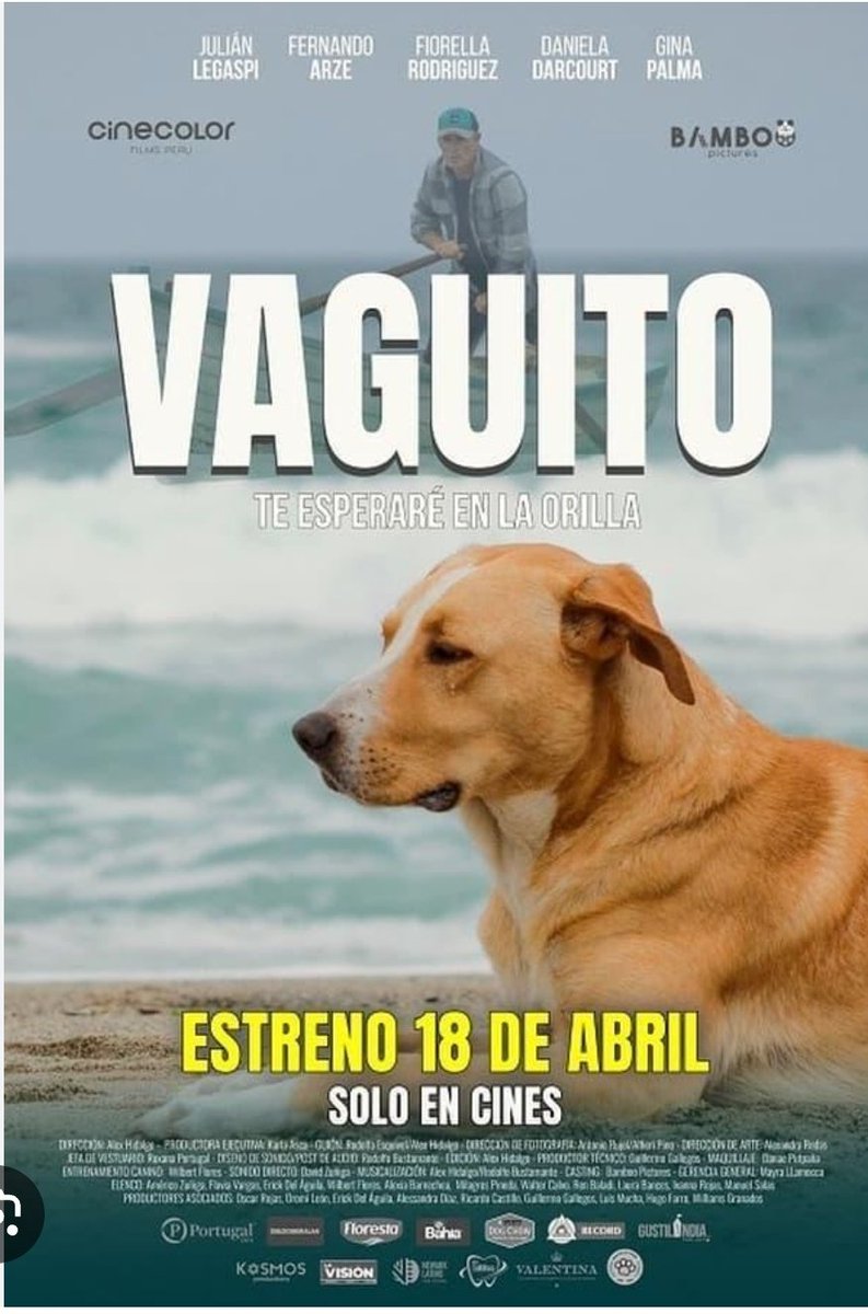 VickyVPalacios's tweet photo. https://t.co/TypJkJkVwF
