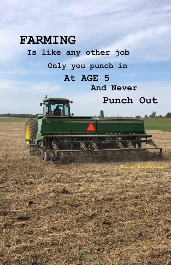 Andy Lang tweet media