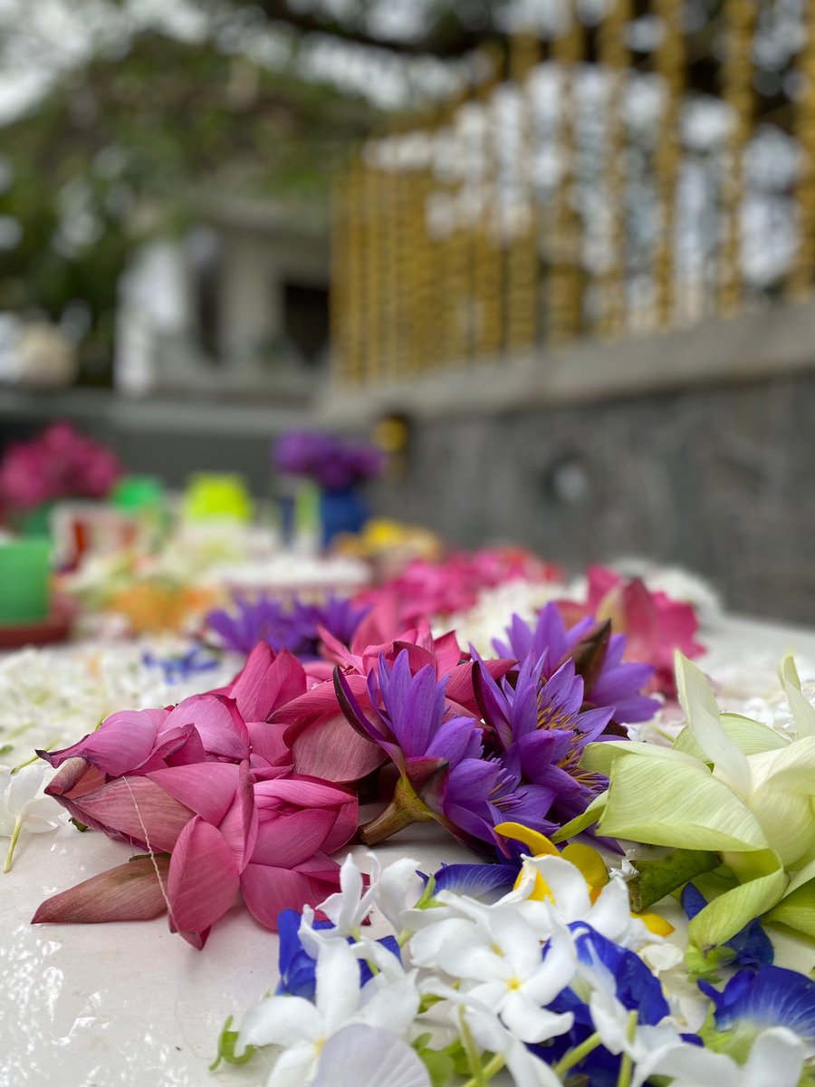 'Hatred is never appeased by hatred in this world. By non-hatred alone is hatred appeased. This is a law eternal.' - The Buddha Dhammapada Full Moon Blessings to you on Bak Full Moon Day 🙏🏽🙏🏽🙏🏽 #TempleFlowers