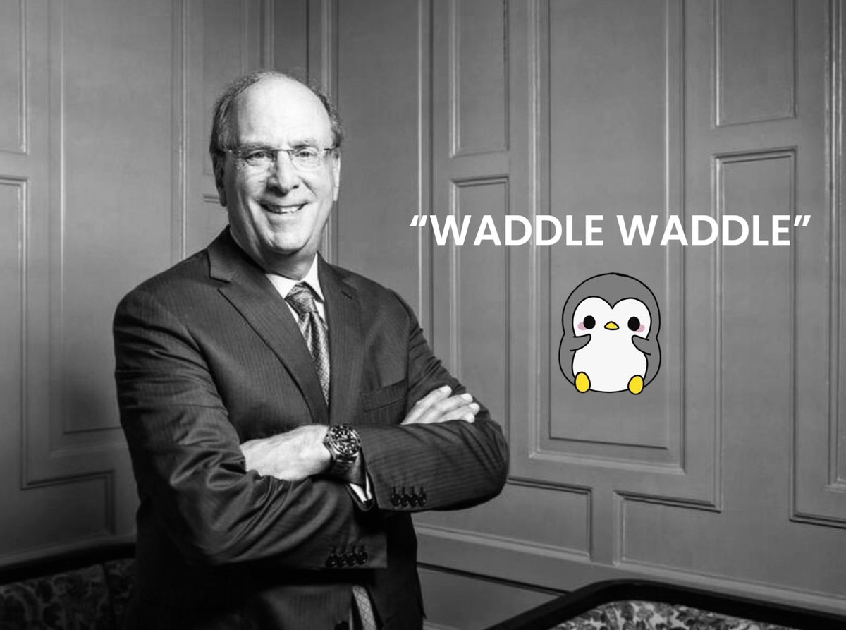 0xNinjaaa_'s tweet photo. @WaddleThePengu waddle waddle https://t.co/65f7G1UkPI