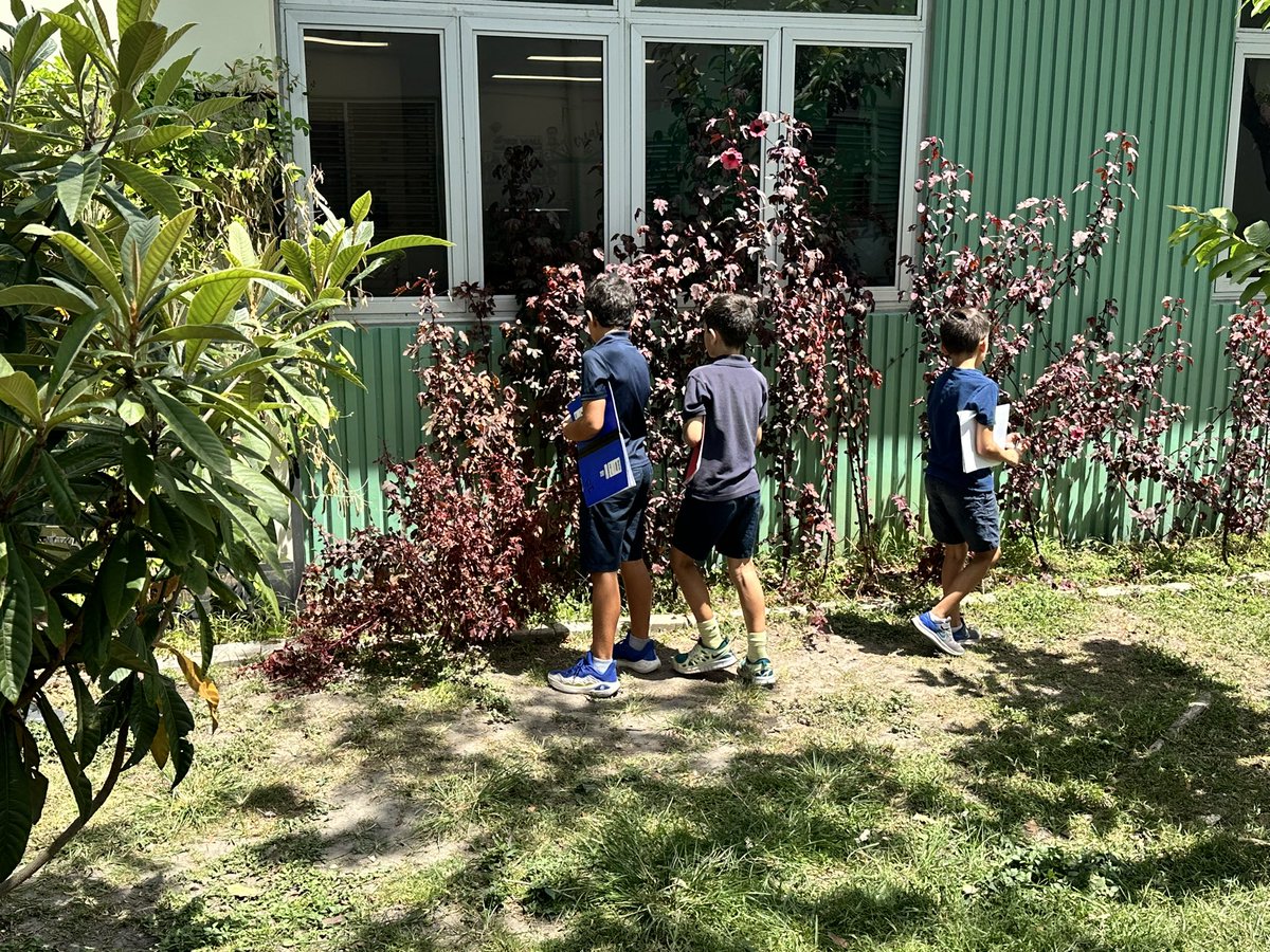 When #earthday is celebrated every other week at #coralparkelementary school thanks to @EducationFund #foodforrest My #3rdgrade students are lucky to have an outdoor classroom to study our natural habitats @MDCPS @SuptDotres @MDCPSCentral @STEAMDesignated @MDCPSSci @MDCPSSTEAM