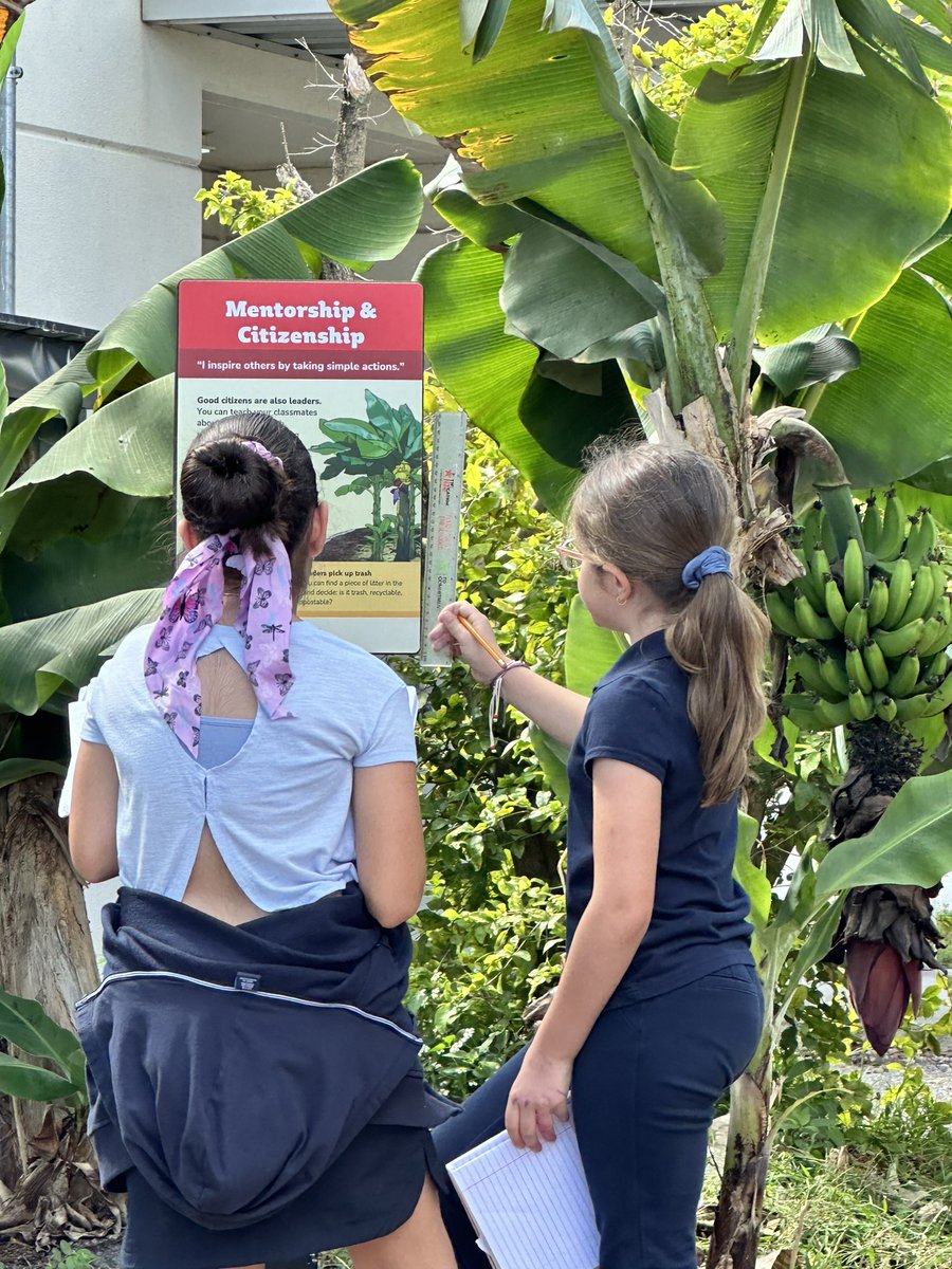 JuankyDiaz's tweet photo. When #earthday is celebrated every other week at #coralparkelementary school thanks to @EducationFund #foodforrest My #3rdgrade students are lucky to have an outdoor classroom to study our natural habitats @MDCPS @SuptDotres @MDCPSCentral @STEAMDesignated @MDCPSSci @MDCPSSTEAM https://t.co/AUwszrRLuO