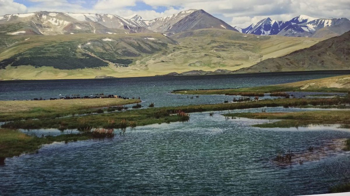 Өглөөний мэнд ээ!