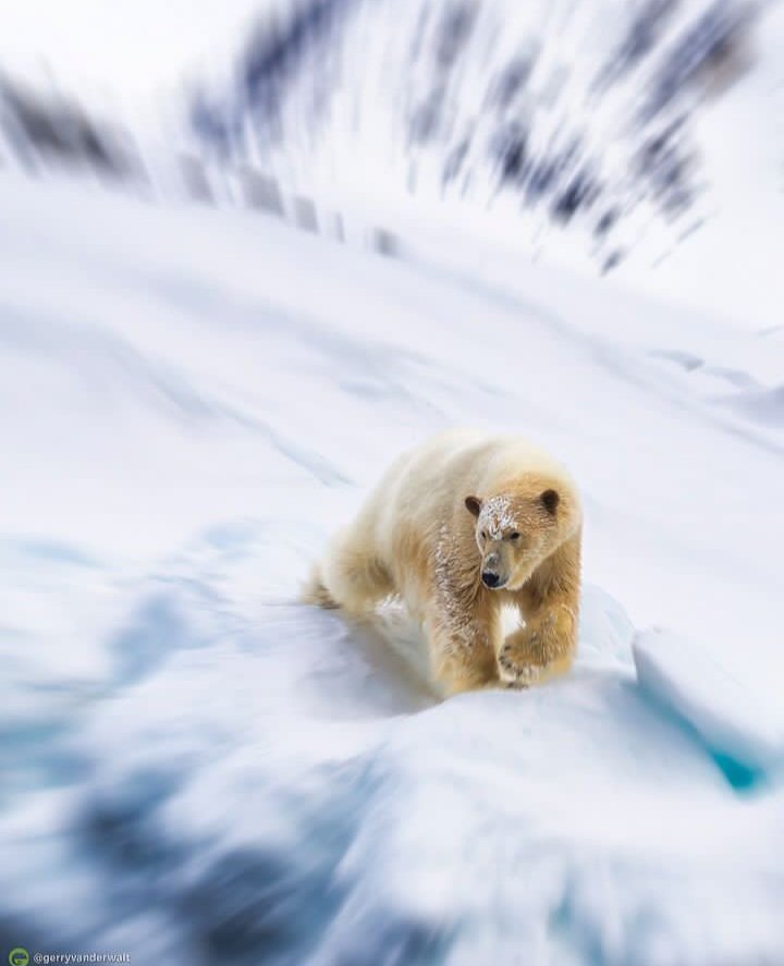 Svalbard (Norway 🇳🇴)