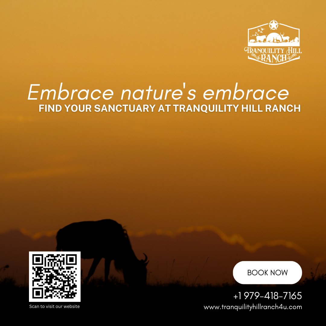 Thillranch4u's tweet photo. Create memories that last a lifetime surrounded by the beauty of Tranquility Hill Ranch. 🌿 Book your tranquil getaway today. #MemoriesInTheMaking #TranquilEscape #NatureExperience https://t.co/XRqnpEJxhj
