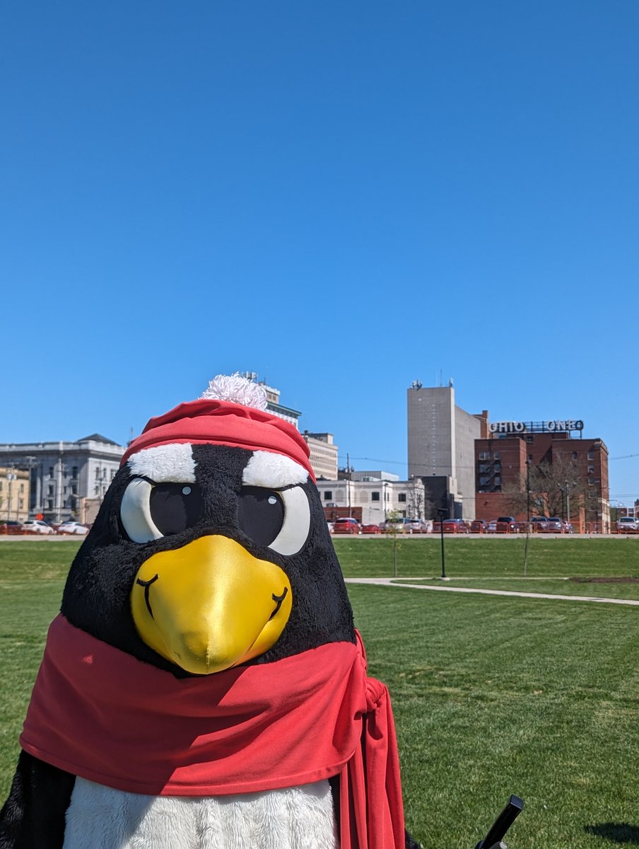 YSUsports tweet picture