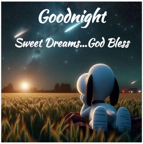 Good night all