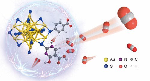 Enzyme-Inspired Ligand Engineering of Gold Nanoclusters for Electrocatalytic Microenvironment Manipulation @J_A_C_S #Chemistry #Chemed #Science #TechnologyNews #news #technology #AcademicTwitter #AcademicChatter pubs.acs.org/doi/10.1021/ja…
