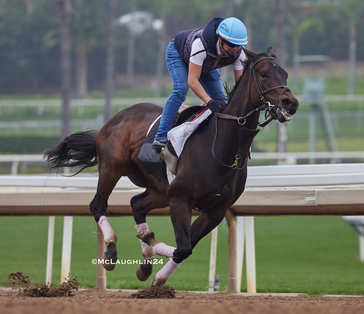 Ruby Nell worked 5F in 1:00.20 this morning with Jose Contreras up for HoF trainer Richard Mandella @santaanitapark @spendthriftfarm