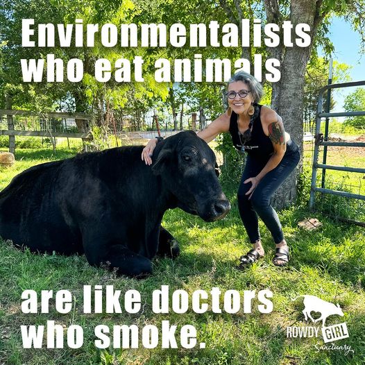 Our ever increasing bloodlust has led to incredible losses in biodiversity, rainforest destruction, climate change, pollution of our waterways and greater antibiotic and pesticide use.

Name nearly any environmental ill and you can connect it in some way to animal ag.  #Vegan