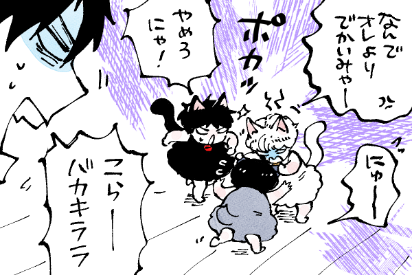 🐱キラキラにゃんこ生活
手を出してポカっされるまで0.5秒😂 