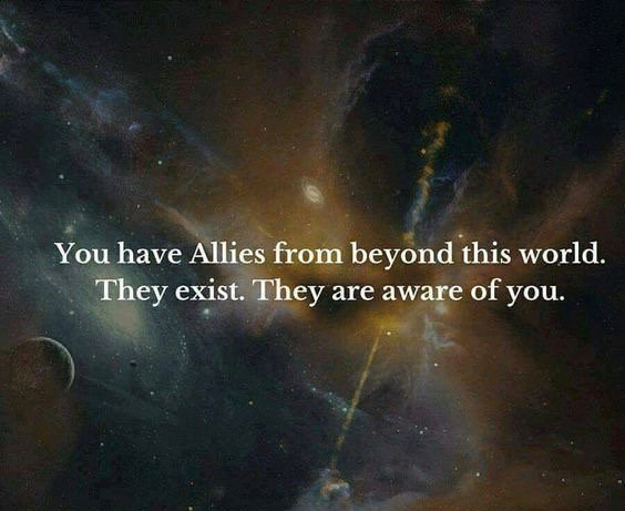 Trust the (ascension) plan. It was never about a human plan. It was only a means to provoke deeper questions about truth, morality, spirituality and the dark forces manipulating our planet. This is an 'angelic' plan. We are not alone and there's nothing to be afraid of.