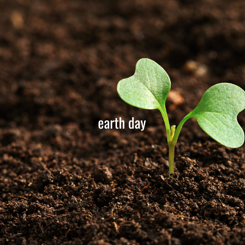 Love our planet, today and every day. Happy Earth Day! 🌎💚
.
.
.
.
.
#happyearthday #earthday #protectourplanet #loveourplanet #ekoehbrasil #organic #vegan #crueltyfree #ecofriendly
