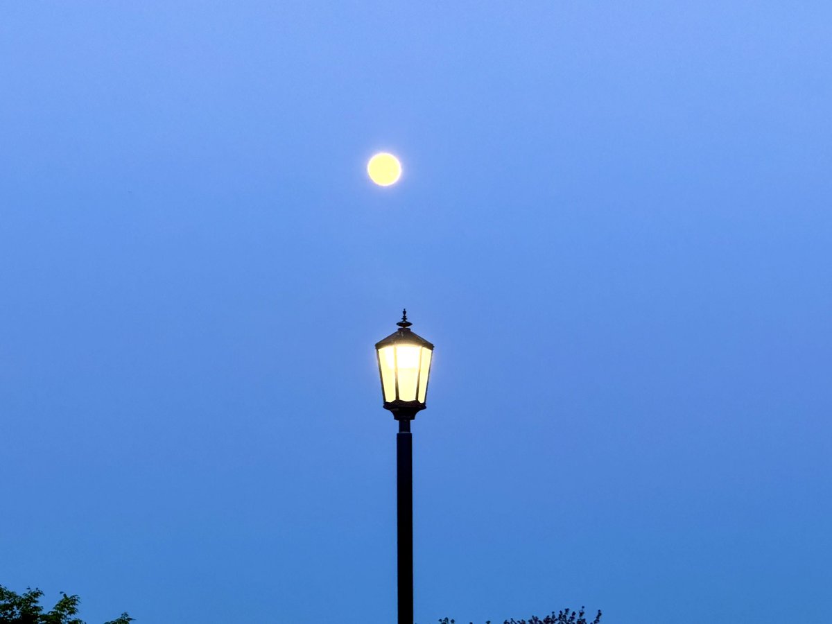 Woah, look outside! Which is brighter - lamppost or moon tonight? #fullmoon