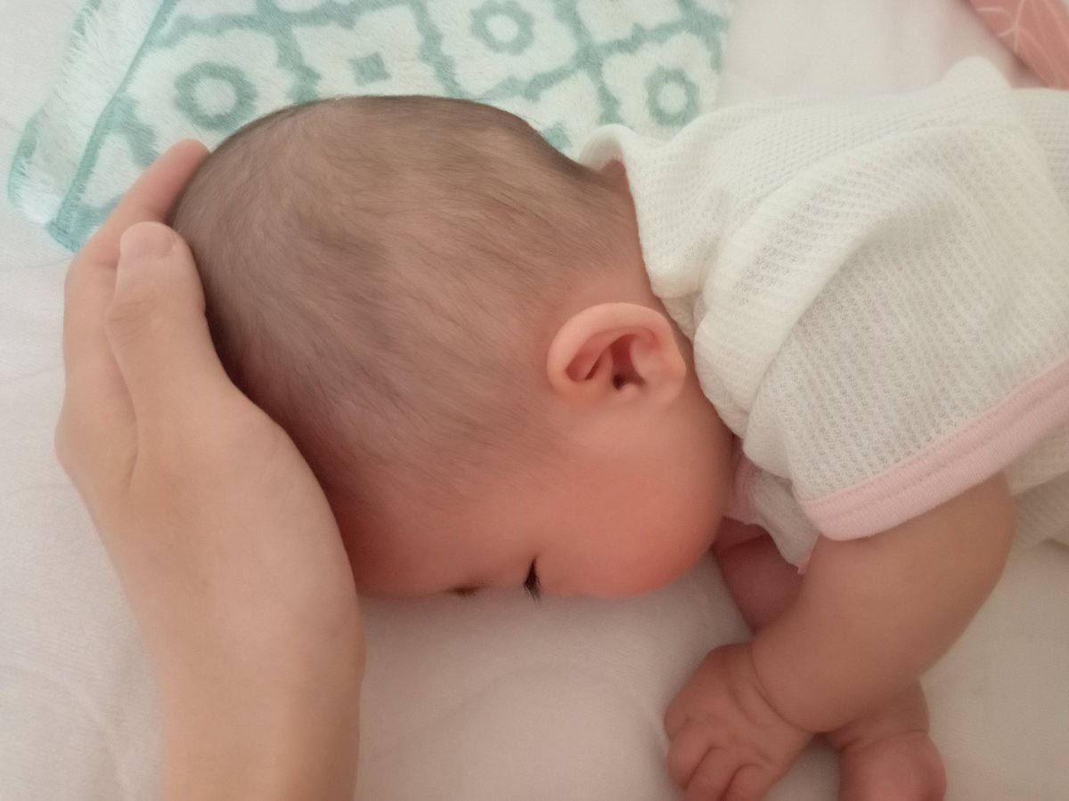 pb_owo_dq's tweet image. 頭に手を当てると、すぐ寝る😴

どんどん私の方に迫ってきて、
私のスペースが狭くなってきた🤣

寝てるうちに朝ご飯食べよ！！