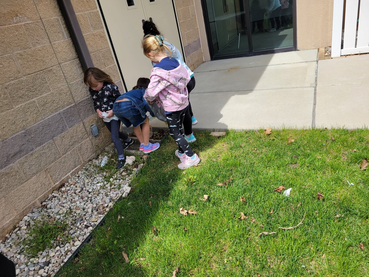 Lisa Jacobs tweet media