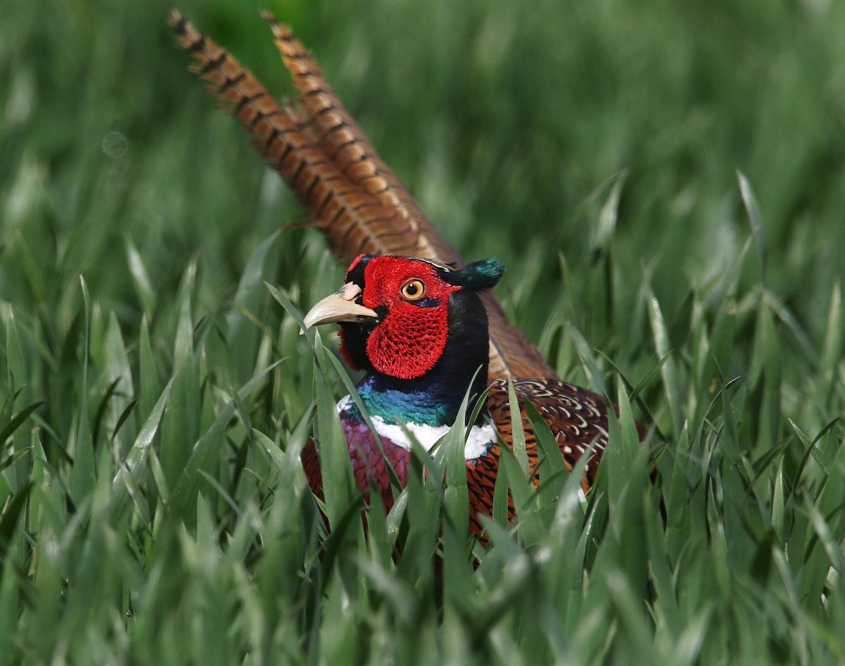 HuntPlusSupply's tweet photo. Its spring time come to our new store for all your hunting needs! 

https://t.co/2EVHZ3dfzG 

#hunting #hunt #outdoors #hunter #deerhunting #fishing #huntingseason #nature #bowhunting #huntinglife #deer #jagd #chasse #jakt #archery #wildlife #photography #duckhunting #whitetail https://t.co/Zvqn1wWiwB