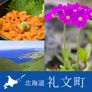 hokkaidou_rebun's tweet photo. 令和６年度　観光施設のオープンにつ��て: 令和5年度　観光施設のオープンについて ５月１日より町内の観光施設がオープンいたします。 皆様のご利用をお待ちしております。 5月1日オープンの観光施設 北のカナリアパーク 礼文町高山植物園 ... https://t.co/zR9TYtmgpL https://t.co/4CCbJwC7Ba