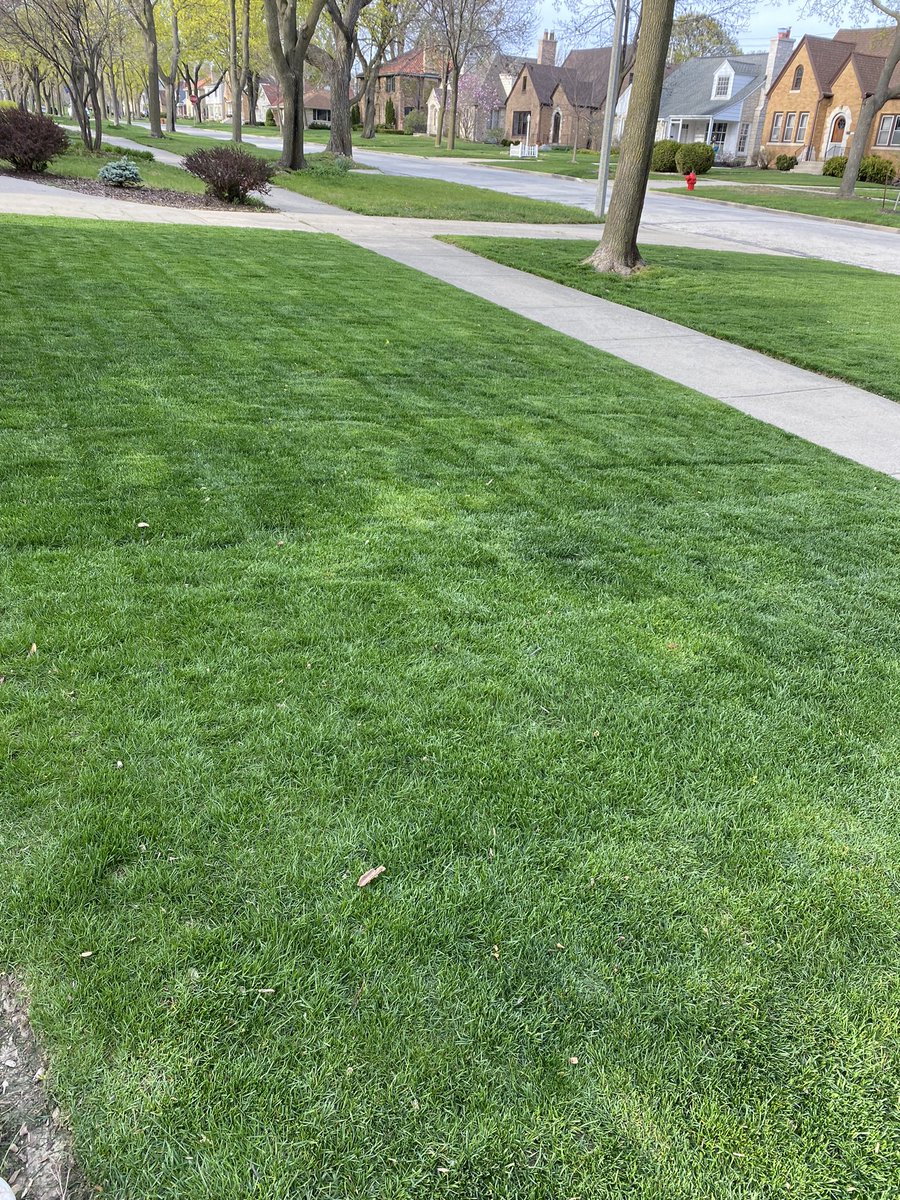 March/April - best time of the year for some. Conference tourney hoops, @WFinalFour @MFinalFour @TheMasters , baseball season, and now…lawn season 2024. If you don’t edge, you’re simply not trying.