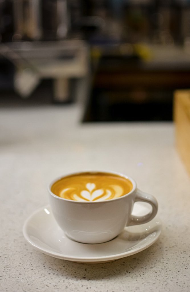 En Gabolibros, cada taza de café es una experiencia única. Ven y descubre nuestra selección exclusiva.☕️🤎🤍
