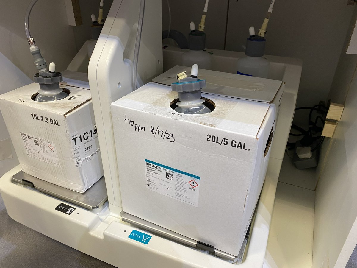 Cytometry_EPFL's tweet image. Attune Xynith Flow Cytometer, up to 6 lasers, 51 detectors, PMT based and compatible with CitKick Max autosampler. The new toy from @thermofisher