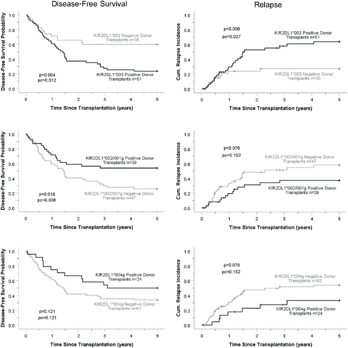 In a cohort of reduced intensity conditioning, T cell depleted #hematopoietic progenitor cell transplantation patients findings indicate that KIR2DL1*003 positive grafts are detrimental for both 5-year disease-free survival and relapse incidence. ow.ly/rfOZ50RxXov