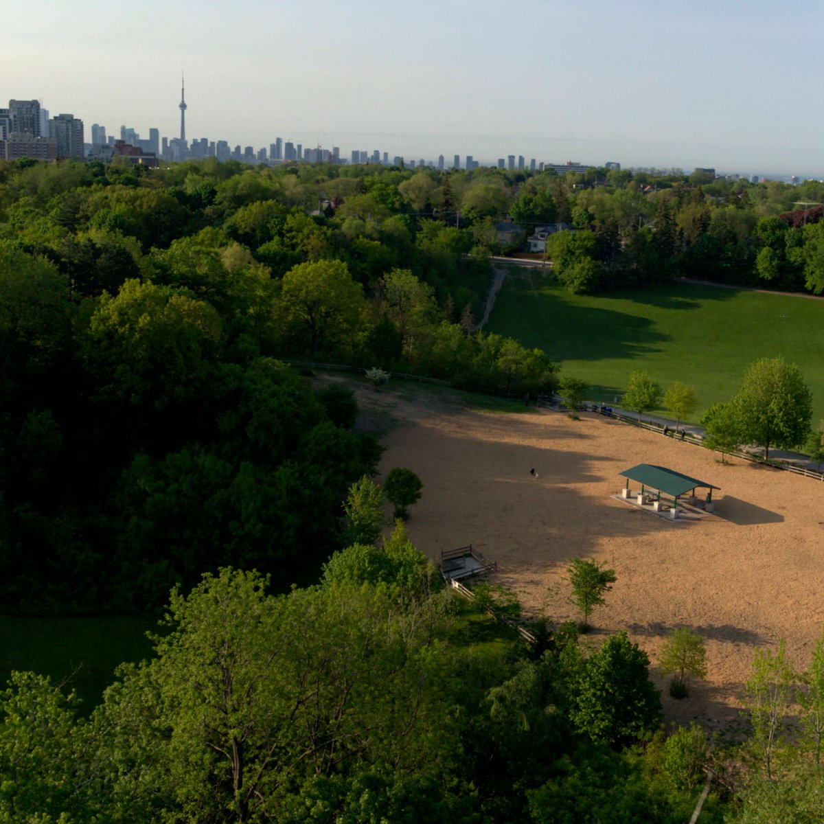 Take a survey to share your experience of dog off-leash areas: toronto.ca/city-governmen… We're looking for input on how to balance park space for both people and dogs in our growing city. Your feedback will help improve the off-leash experience for all park users.