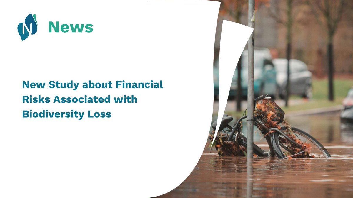 How do we tackle biodiversity-related financial risks? 💰💸 🔎 Learn how in the new study about Financial Risks Associated with Biodiversity Loss developed by DG ENV and DG FISMA: ow.ly/2Uxc50Ry9ro @EU_ENV @EU_Finance