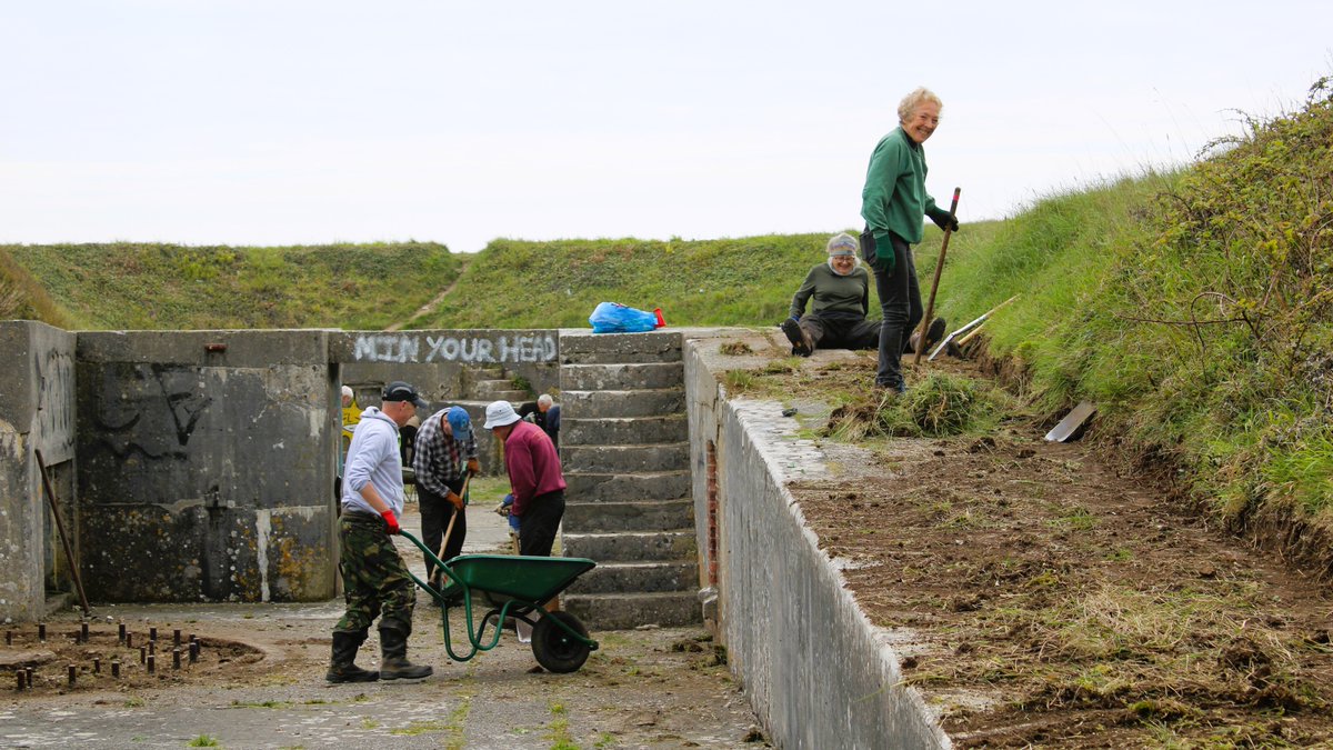 The conservation group EuCAN have been hard at work over at High Angle Battery on Portland, helping rejuvenate the site as part of the ‘Rediscovering High Angle Battery’ project. The team of volunteers will be back in the coming months to carry out more repairs.
